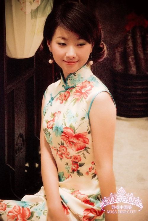 2010�����Ї���������Ļ