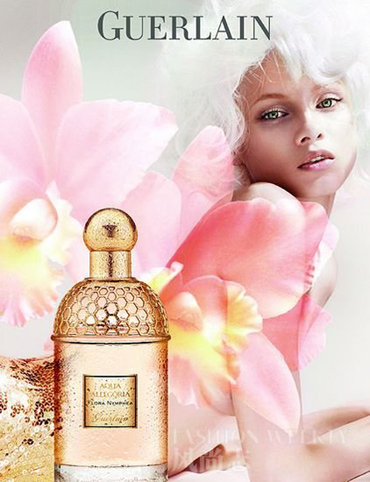 һĨ���µ���������