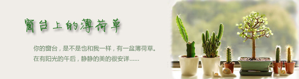 窗臺(tái)上的薄荷草