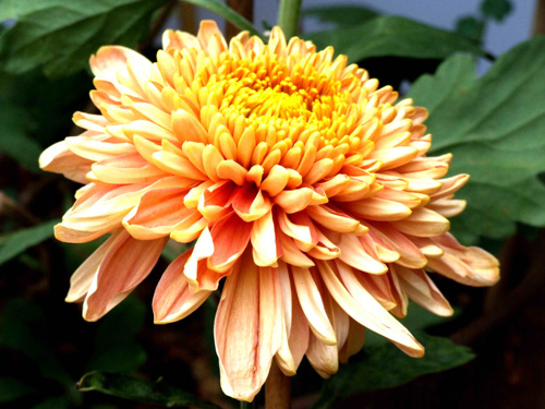 ���g����ǧ�t����(d��)��������