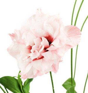 ����Ů���o(h��)�w�xʽ��ȫ����