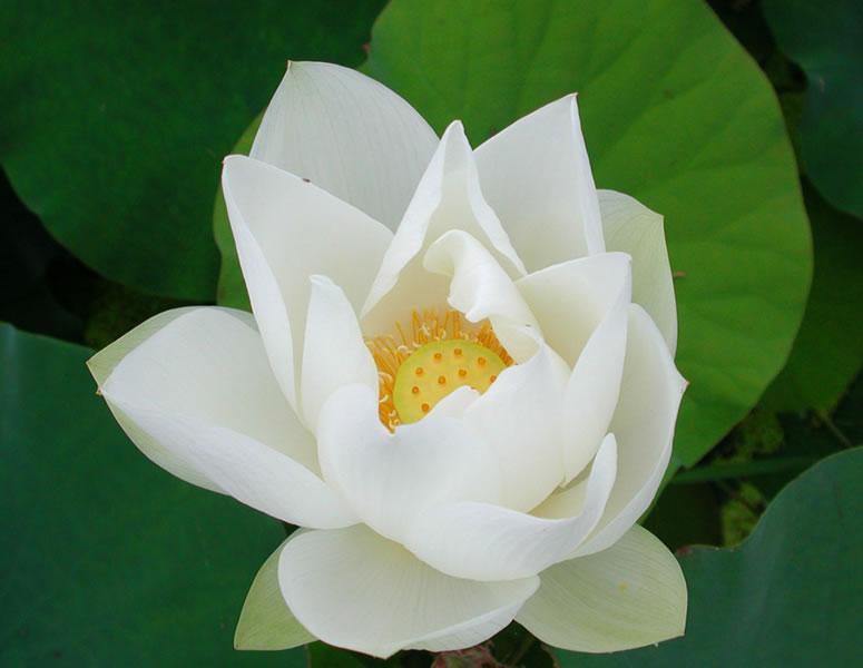 15��Ů�����׵ĺ����T