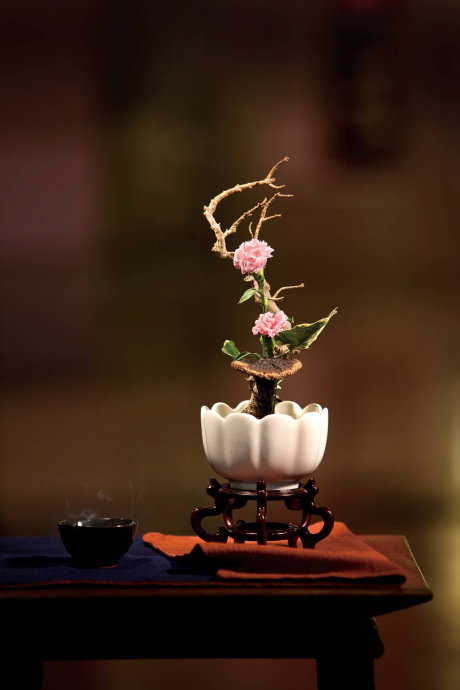 �p�Đ�Ŀ�ĹٸG�����c�����廨