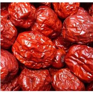 �p�����������_ʼ