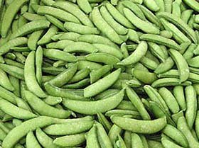 �߷N�����߲˽�������ˆ���