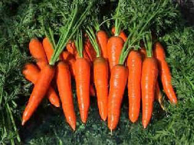 �߷N�����߲˽�������ˆ᣿