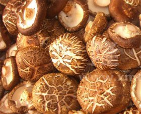 �߷N�����߲˽�������ˆ���