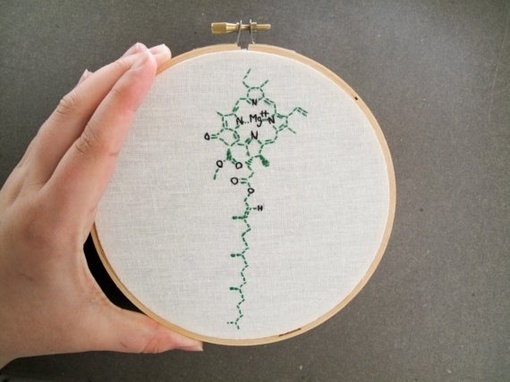 �C�������С����