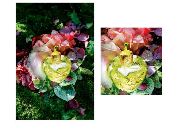 �P�c14���m��18-25�qŮ������ˮ