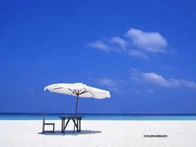 ��һ�������׷�������Ҫ