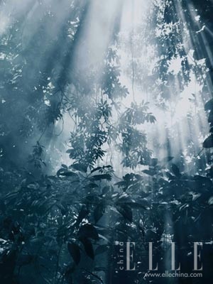 阿瑪尼新寄情女香ACQUA di GIOIA