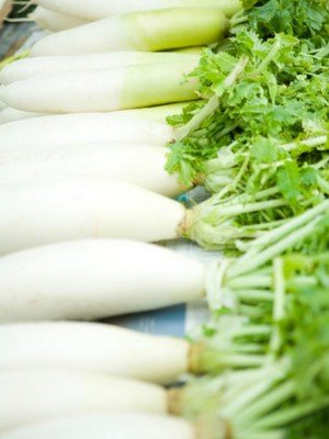 ��֬���� 9�N����Ч����ʳ��