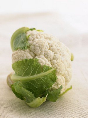 ��֬���� 9�N����Ч����ʳ��