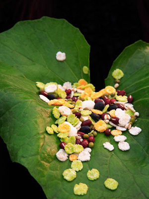 6����������Ч���Ŷ��B���