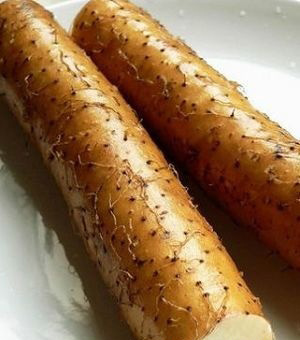 �Ŀ��S��ʳ�� �Գ�������