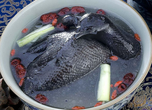 6��������ˎ�� �ȳ�Ů�˟o������