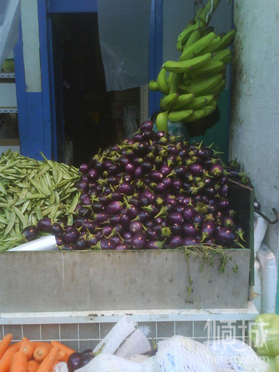 良久分享:新加坡 吃喝玩樂全攻略