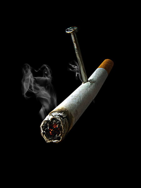 ��p�ʣ��^�������@�ż���