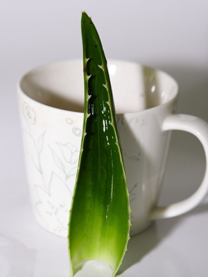 天然美膚 水果美白抗敏功效各不同