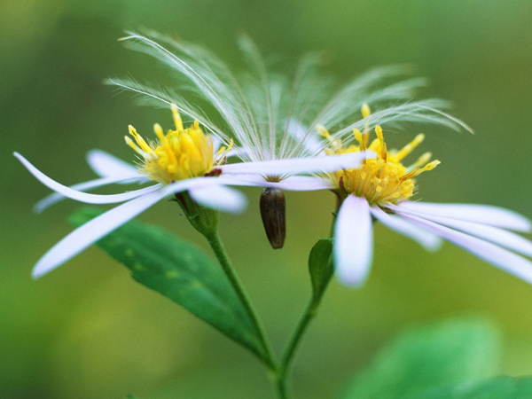 żȻ�������fǧ���m