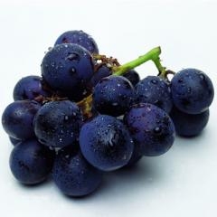 8�N������wˮ�� �Գ�ˮ����