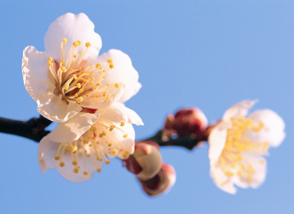 ����������������