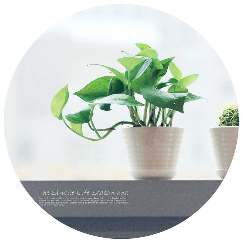 ҕ�XС���£�The simple life season one