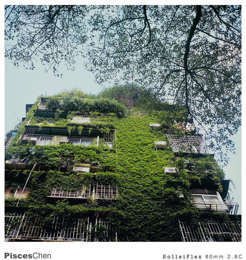 PiscesChen:ժ�����A�������