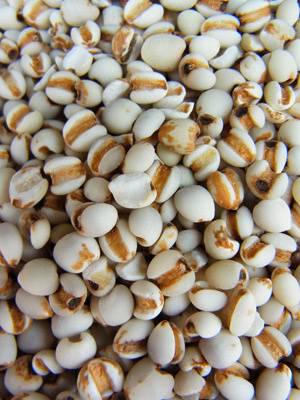 ��Ȼ���񲻻��X SPF���wʳ���P�c(di��n)