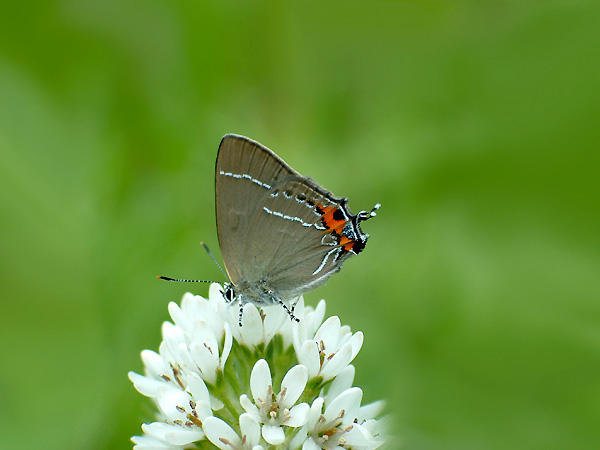 Ů�ˑ�ԓ������ʁ�! 