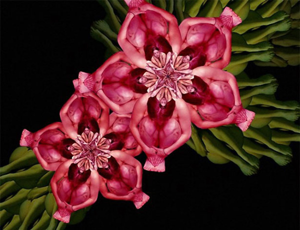 ����25�qŮ���ĳ�ʷ������w�zӰ