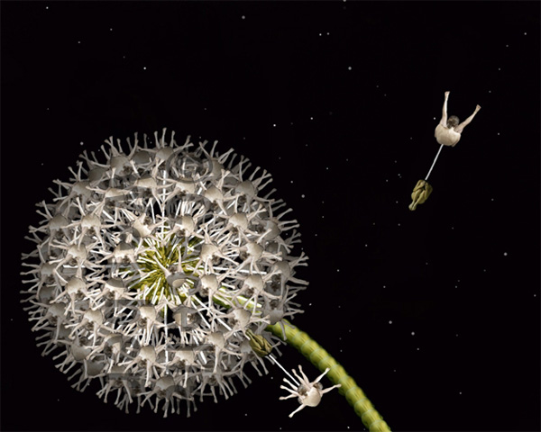 ����25�qŮ���ĳ�ʷ������w�zӰ