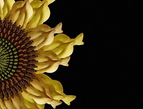 ����25�qŮ���ĳ�ʷ������w�zӰ