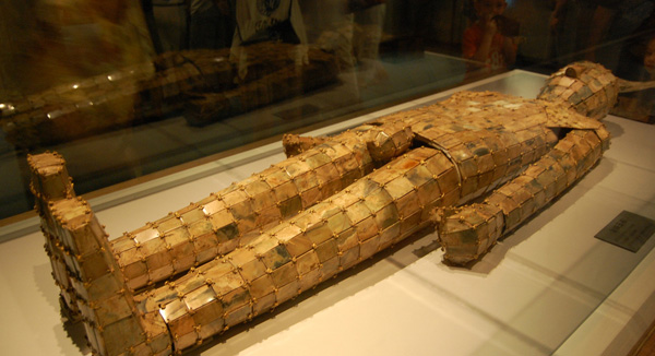 ��|���� ���������ĉ���