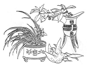 吉祥圖案 美妙寓意