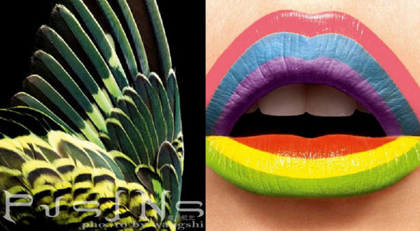 ����˼�h����Ȼ�ʊy��Ƭ��