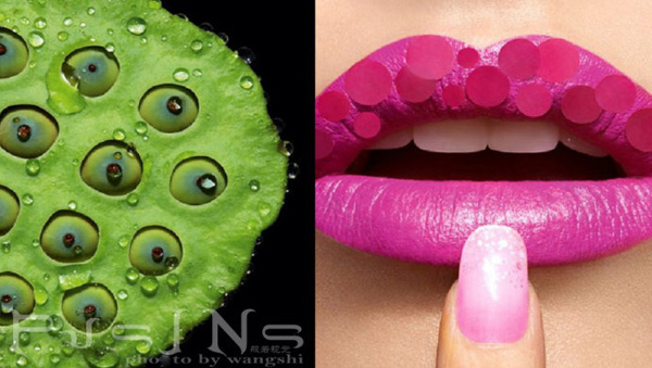 ����˼�h����Ȼ�ʊy��Ƭ��