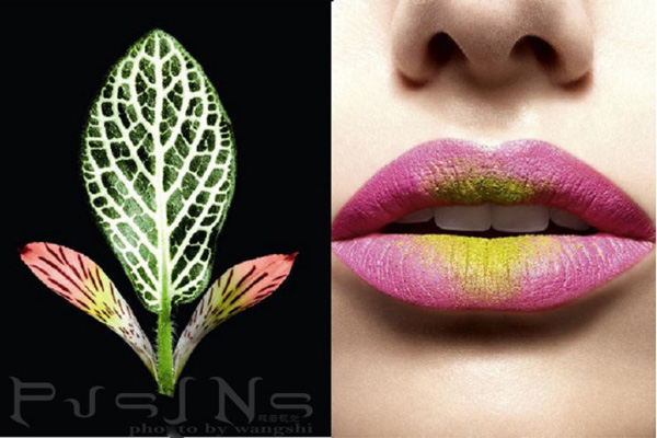 ����˼�h����Ȼ�ʊy��Ƭ��