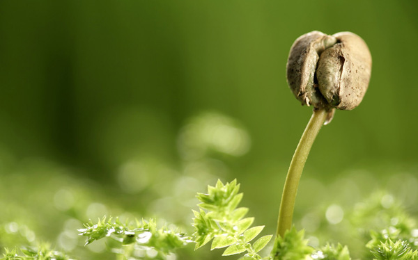 �ɾ������O�¾���