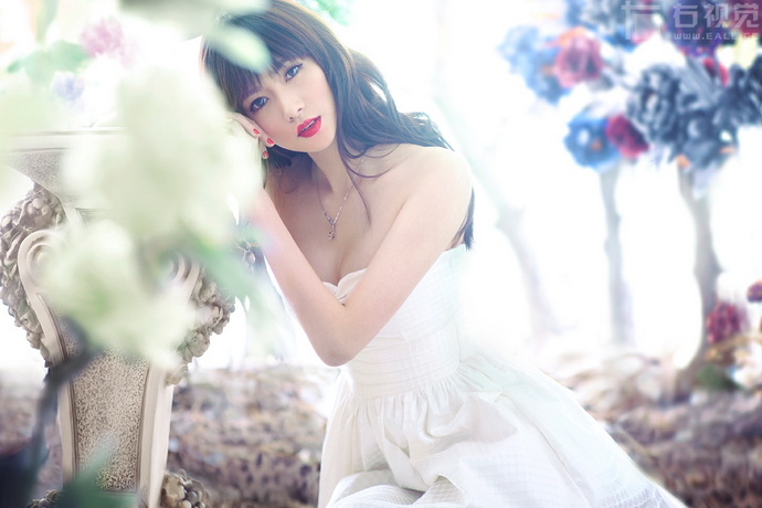 ɭ��ϵΨ�����棺��� 