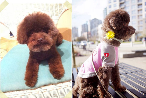 GINA��������������M�е���