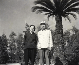 魯迅撮合下的苦情夫妻