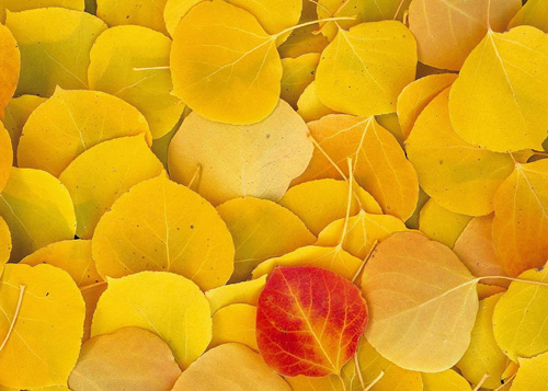 ׌����׃�Ҹ�������(g��)�a(b��)��