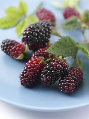 һҹ֮�g��10�� 6��ƫ���ɵ�֬��