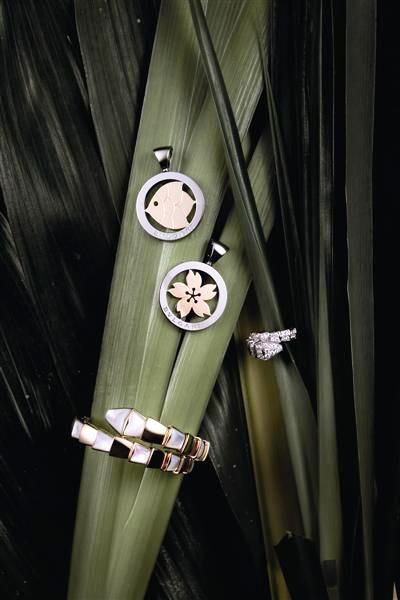 �������`�錚�Wҫ����Ȼ���A���E