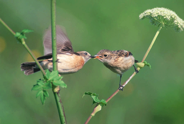 ĸ�H��ĸ�H ��������Đ� 