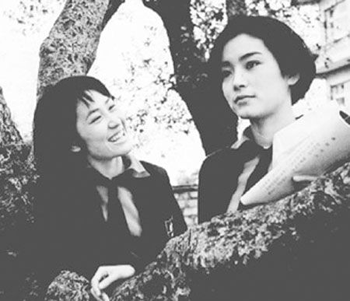 �����P�µ�����ϼ �t�m�y��ϼ��