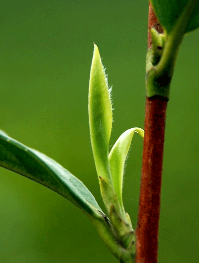 ���~����������