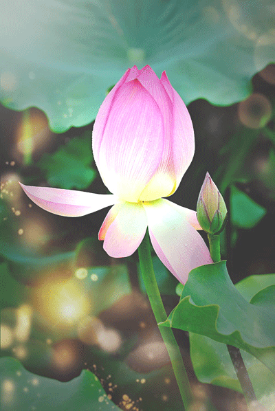 ��Ĩ��˼������ɏ