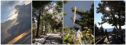 小雨:游走,70后的詩境